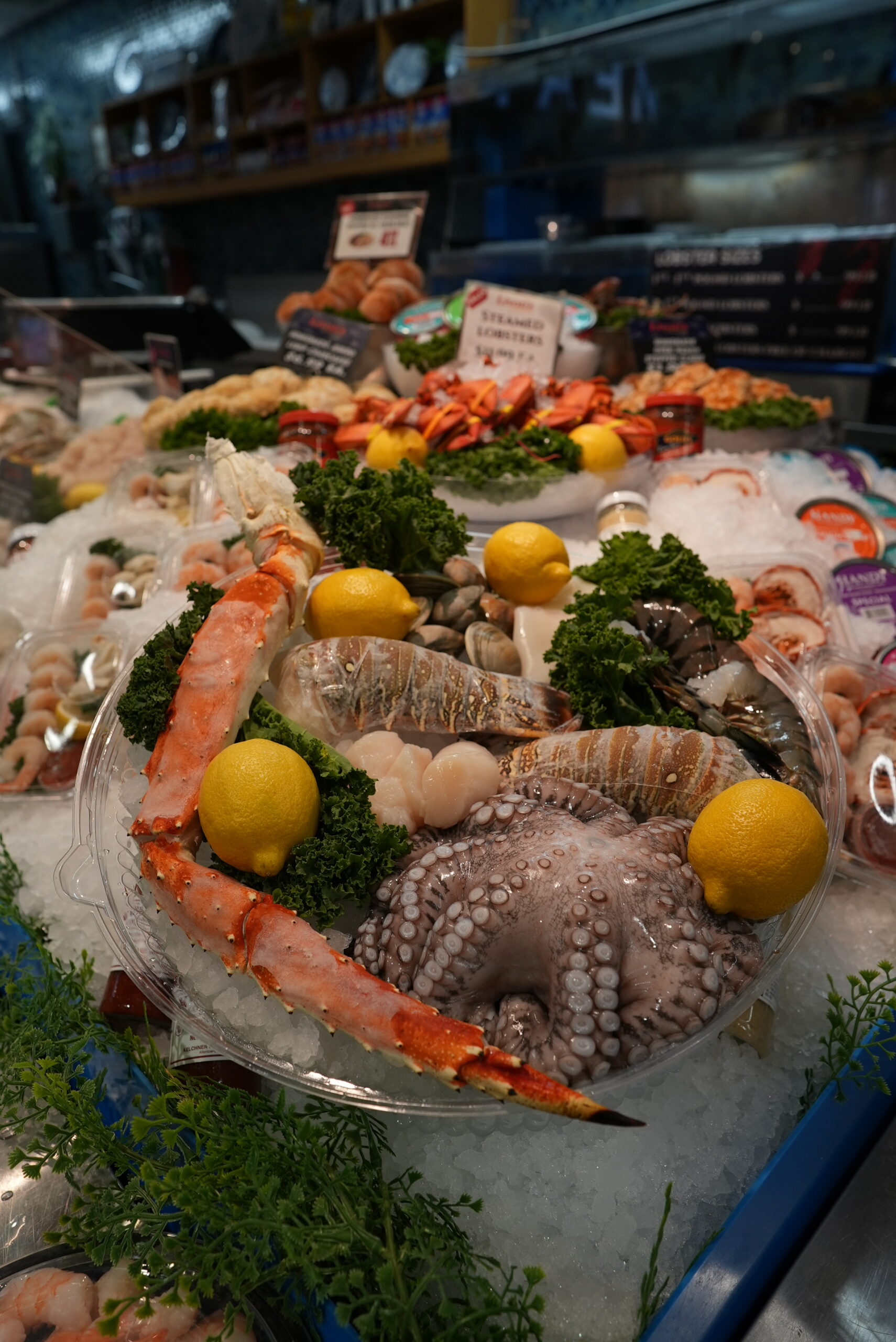 Selection of fresh seafood at Livoti's Old World Market