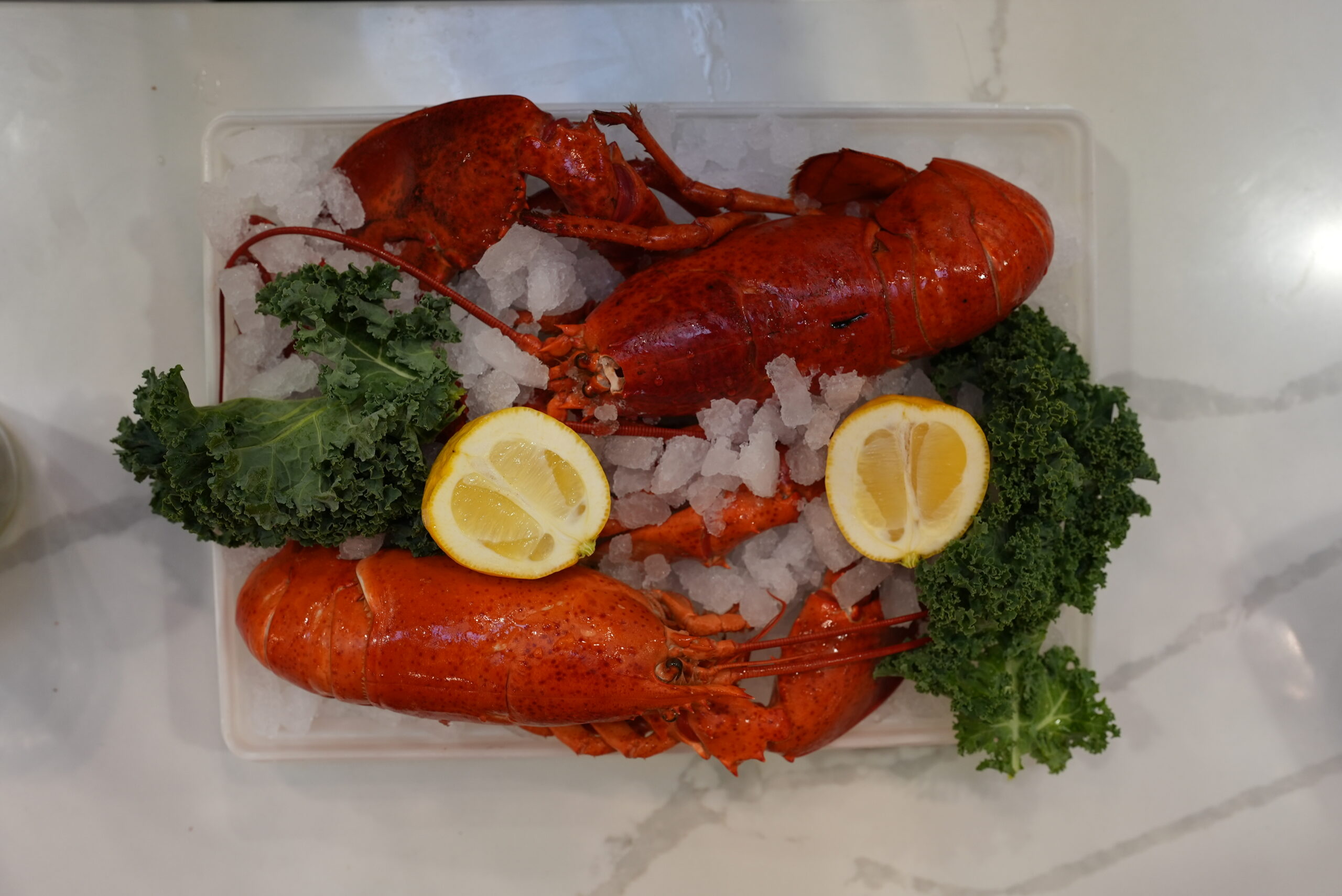 Freshly caught lobster with lemon